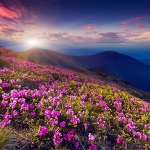 Meet your Posher, Lynne